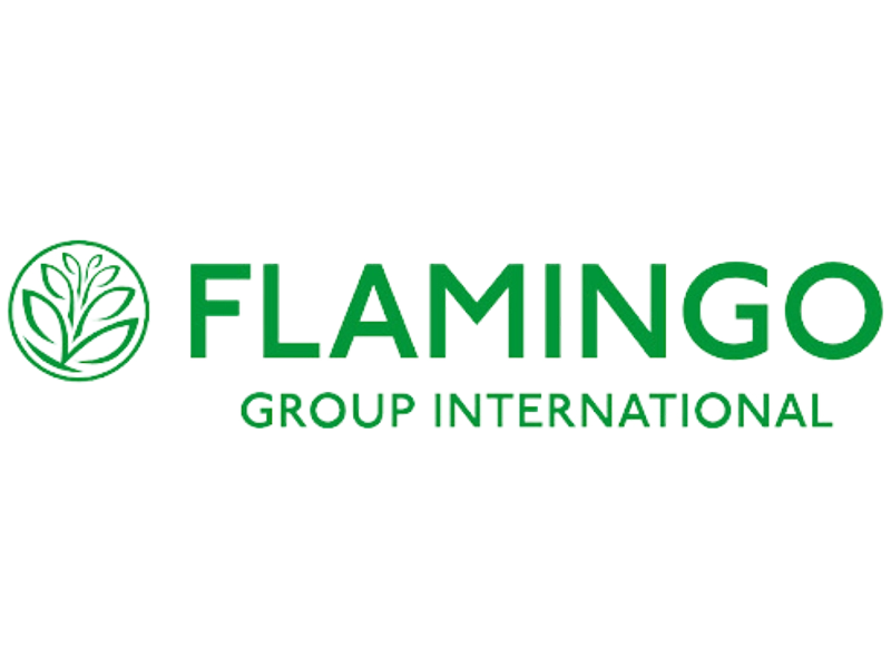 FLAMINGO GROUP INTERNATIONAL LOGO