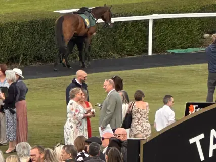 Fiona Verde picking the best turned out horse.