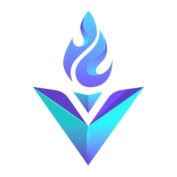 Logo for custom software