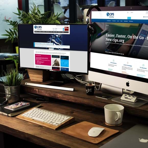 Cipswebsite5