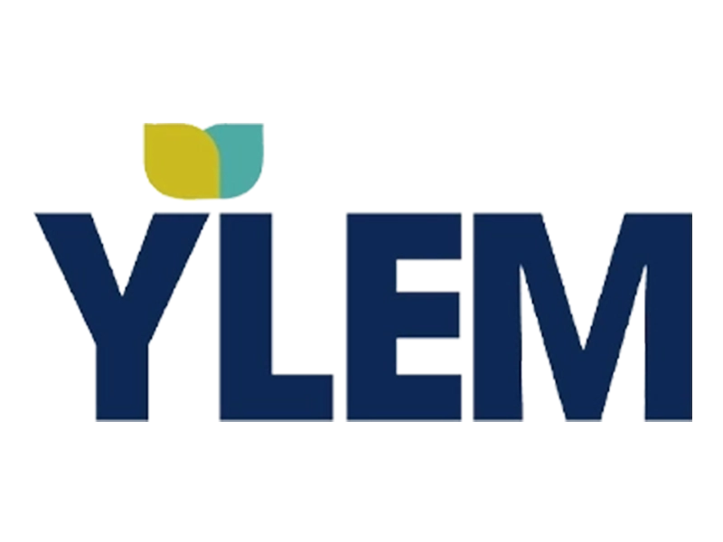 Ylem Psp It